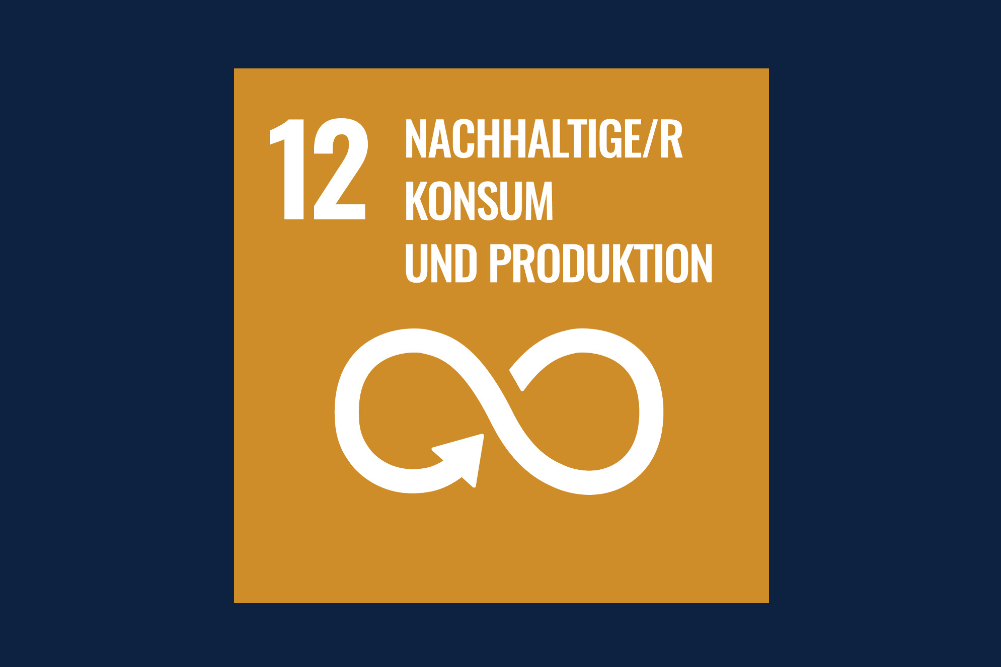 Icon für das Ziel 12 – Nachhaltiger Konsum und Produktion