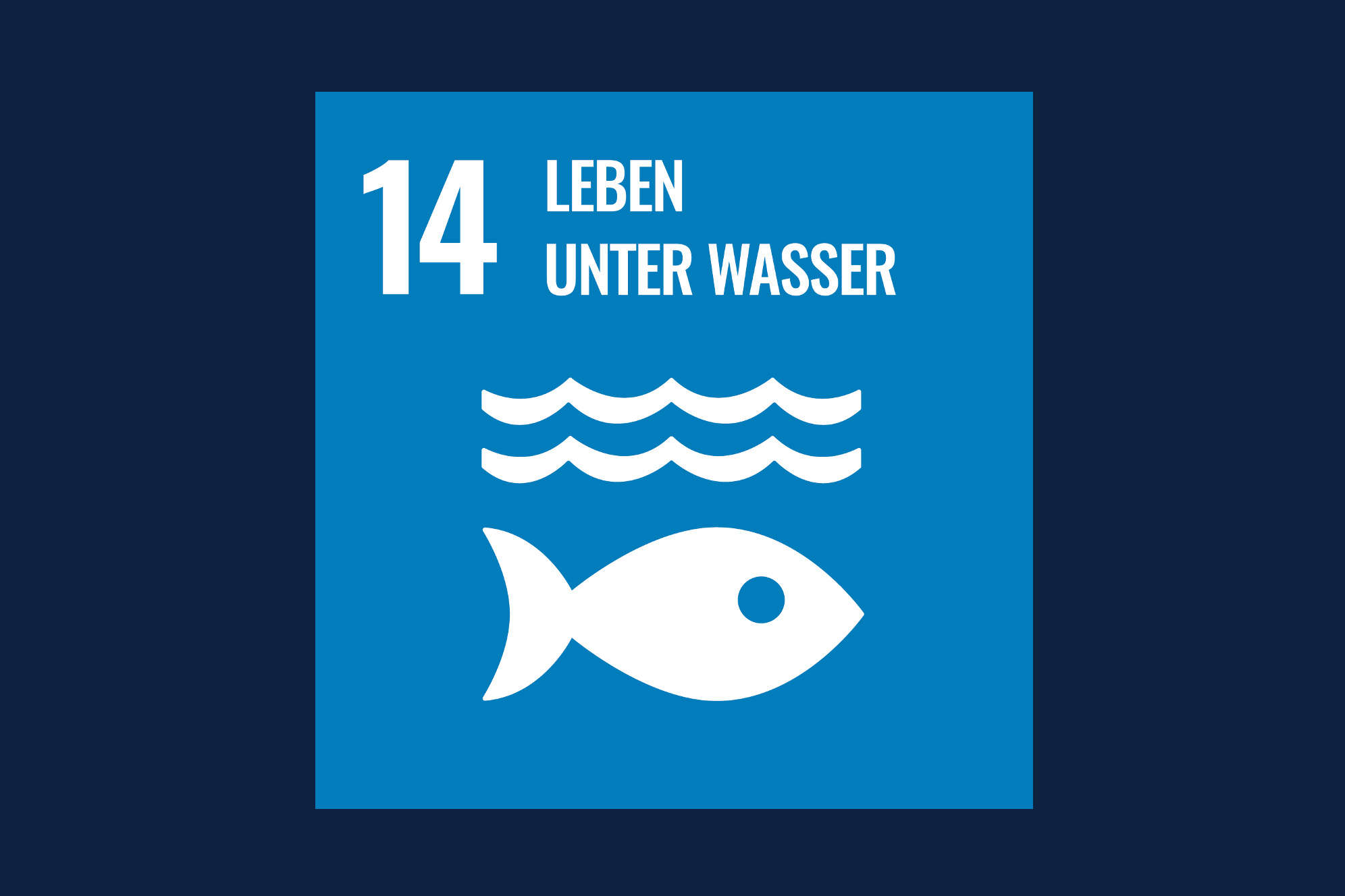 Icon für das Ziel 14 – Leben unter Wasser