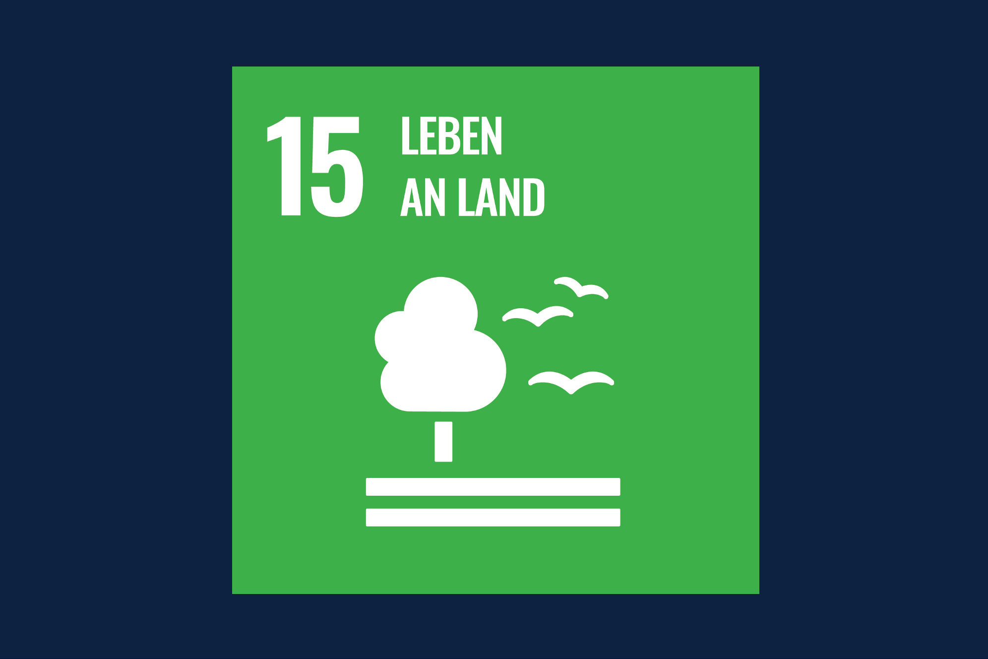 Icon für das Ziel 15 – Leben an Land