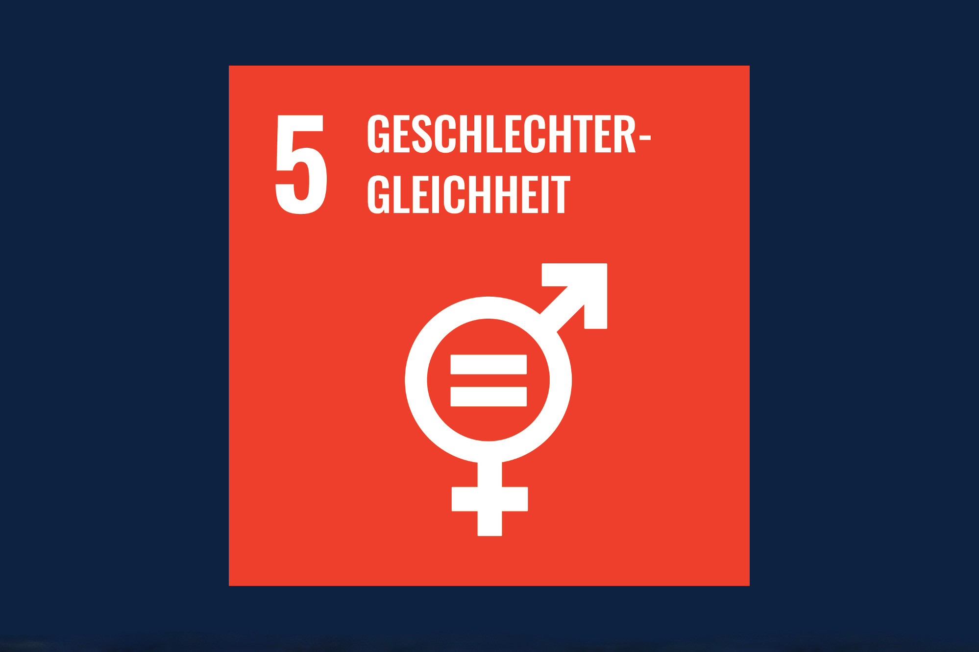 Icon für das Ziel 5 - Geschlechtergleichheit