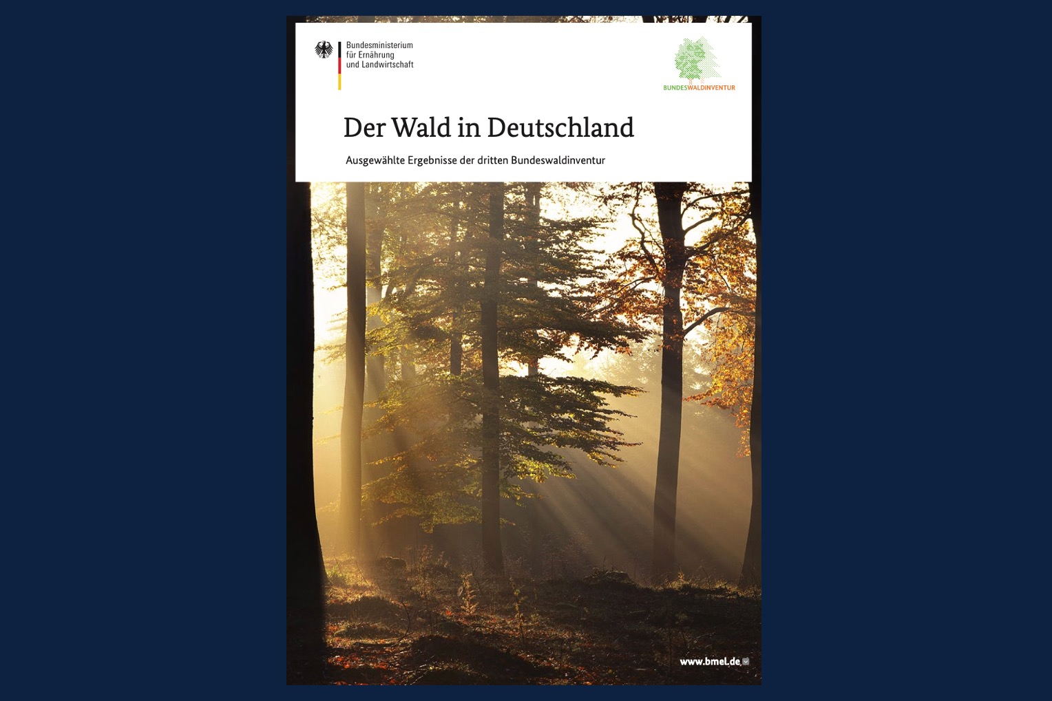 Deckblatt der Waldbroschüre des Bundesministeriums für Ernährung und Landwirtschaft