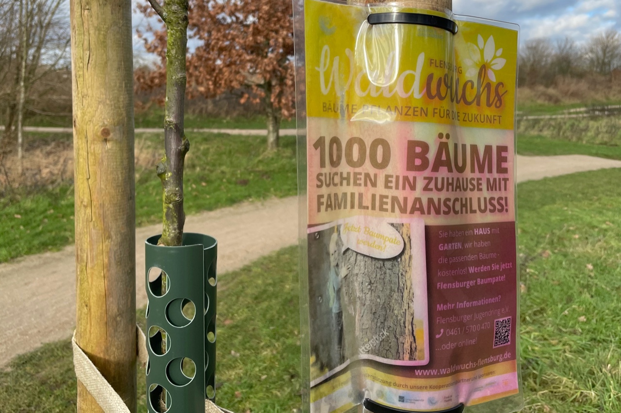 Info- und Werbeblatt für eine Baumpflanzaktion von Waldwuchs Flensburg