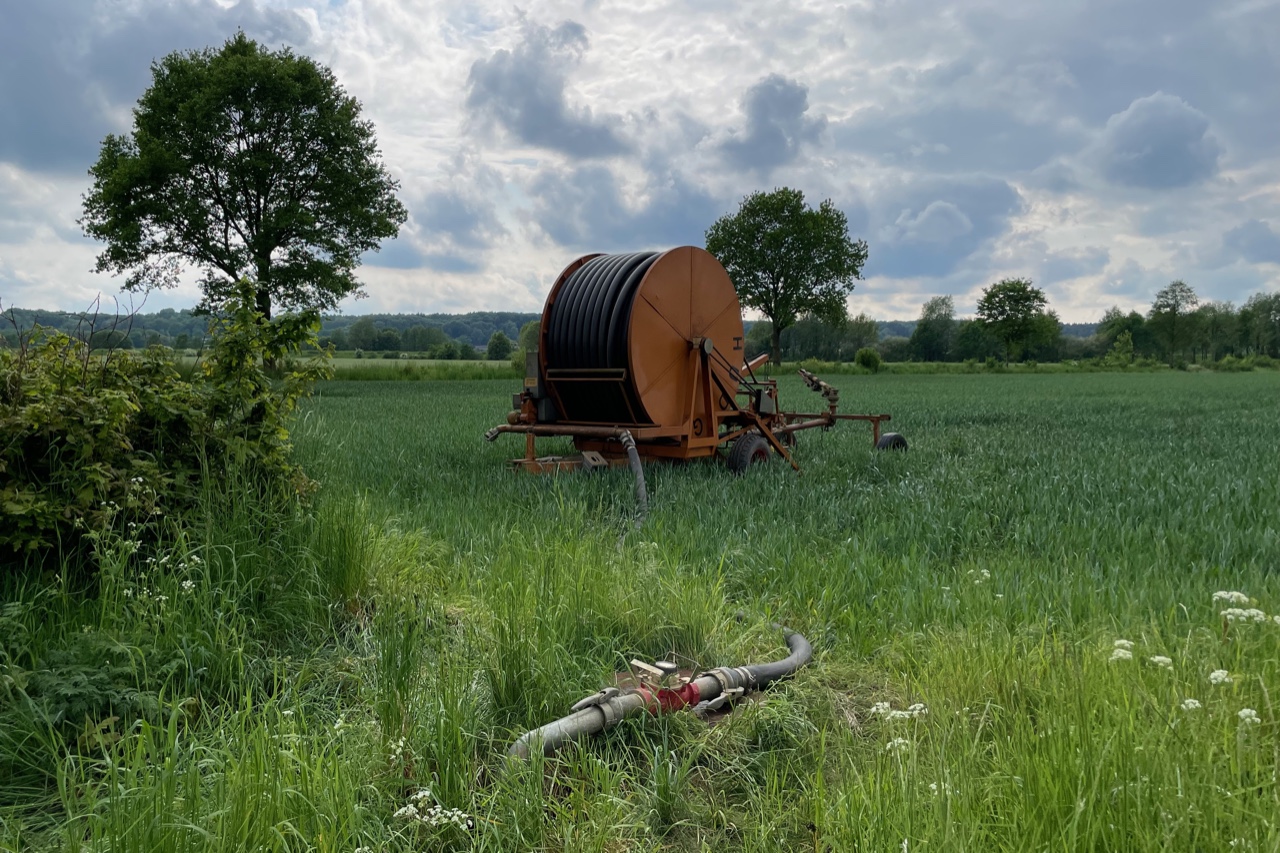 Haspelwagen mit aufgerollten Schlauch zur Feldbewässerung im Weizenfeld