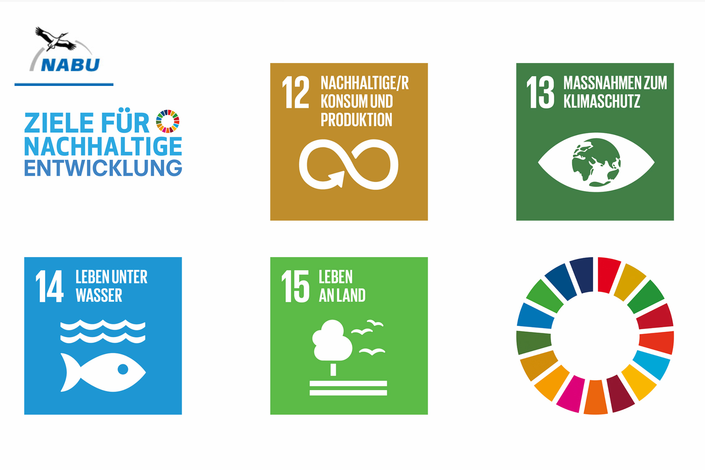 Das Bild zeigt vier von den 17 Zielen: Ziele 12 nachhaltiger Konsum, 13 Klimaschutz, 14 Leben unter Wasser und 15 Leben an Land
